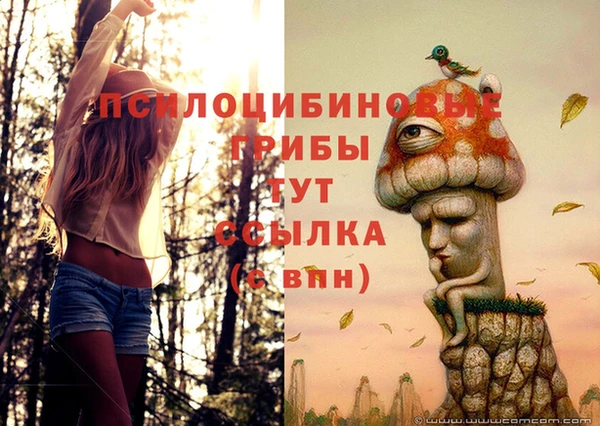 каннабис Алексин