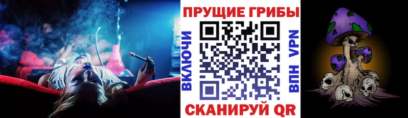 hydra вход  Злынка  Псилоцибиновые грибы MAGIC MUSHROOMS 